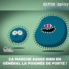 COMMUNICATION DE NOS AMIS BELGE SUR LE CORONA VIRUS !