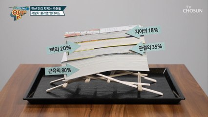 「콜라겐」 부족 시 무너지는 전신건강☹