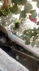 झाँसी: दो पक्षो में जमकर हुई जानलेवा पत्थरबाजी, पुलिस को नहीं हैं कोई सूचना