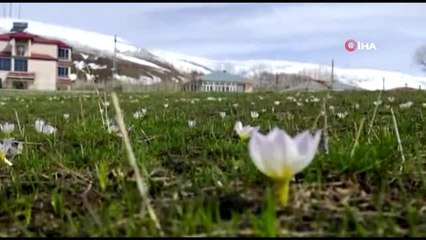 Bingöl'de bahar ve kış bir arada