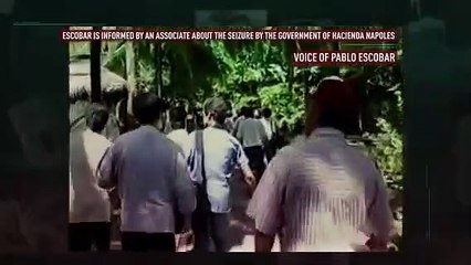 Audios Reales De Pablo Escobar ineditos