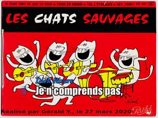 Les Chats Sauvages & Dick Rivers_Je veux tout ce que tu veux (1961)karaoke