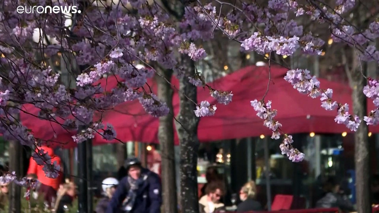 Sterberate in Schweden steigt - Löfven warnt vor 'tausenden Toten'