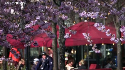 Sterberate in Schweden steigt - Löfven warnt vor "tausenden Toten"