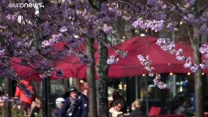 Koronavírus: sikeres lehet a svéd minta?