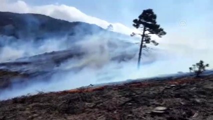 Ağaç kesimi yapılan alanda çıkan yangın söndürüldü