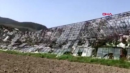 Fırtına seralara zarar verdi, üretici 'bittik' dedi
