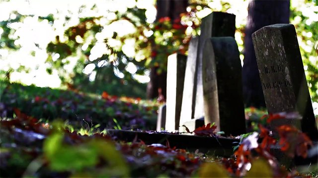 HER YENİ GÜN, YENİ BİR ADIM | HACI MUSTAFA KARALI (HMK)