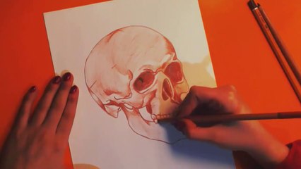 SANGUINE SKULL - Speed Drawing
