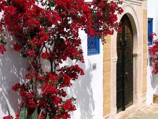 Bonjour, bonjour et excellente journée à toutes et à tous ☕️❤️ #Tunisie