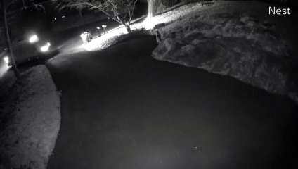 Livraison FedEx : il lâche le paquet par la fenêtre !