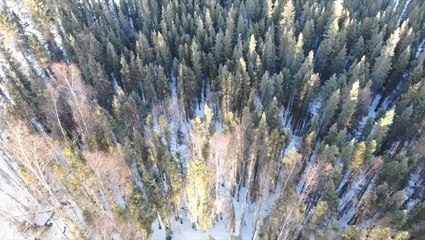 How drones help find lost hikers