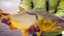Fish Finder en Búsqueda de Victoria