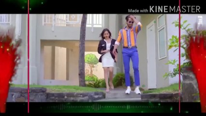 Mr faizu jannat zubair latest aeroplane song status