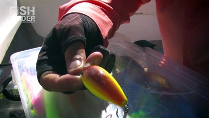Fish Finder  SURUBI una búsqueda dificil