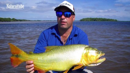 Fish Finder Entre Ríos, La paz