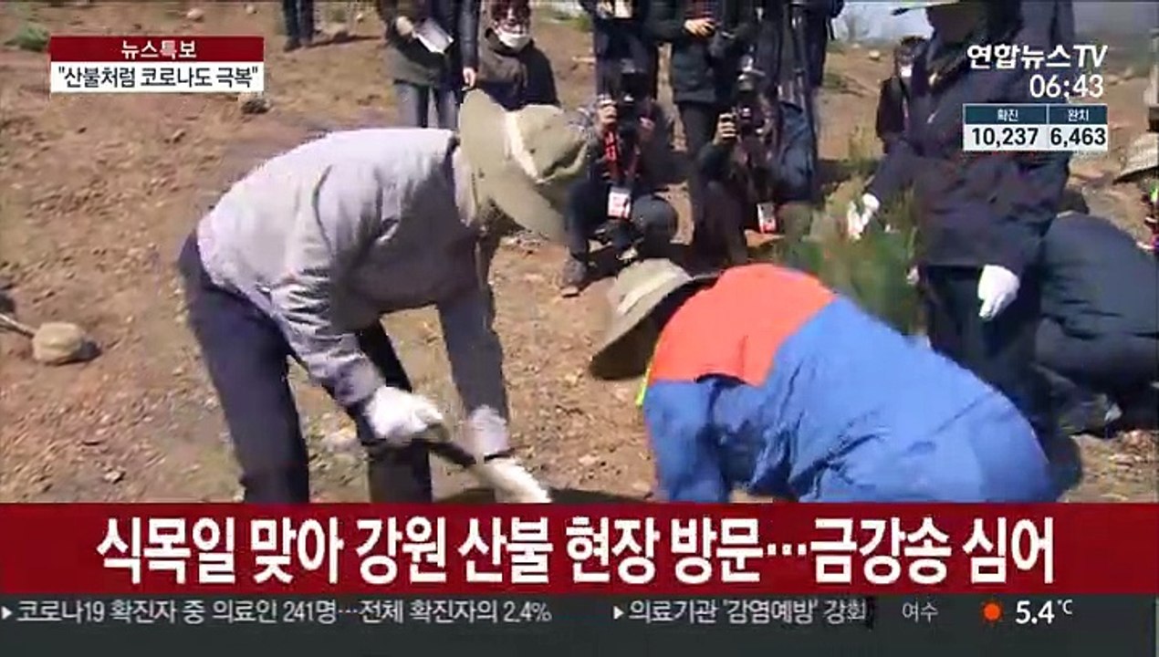문 대통령 "강원 산불 극복 정신으로 코로나 이겨내자"