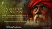 Humne Tujhe Jana Hai - Sufi Kalam 2020 - Sami Kanwal  - Fsee Production