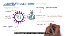 Descubre cuánto sabes sobre este nuevo tipo de coronavirus.