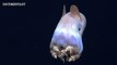 Mariana Trench - The Deepest and Most Unexplored Place On The Planet