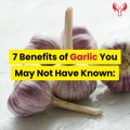 7-surprising-health-benefits-of-garlic