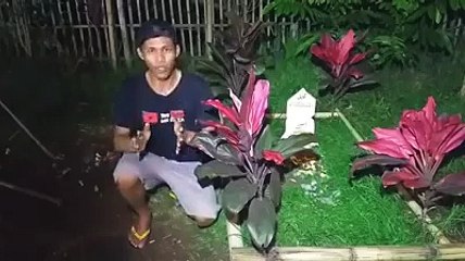 Uji nyali prank di pemakaman