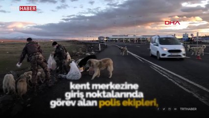 Polisler yiyeceklerini sokak köpekleriyle paylaştı