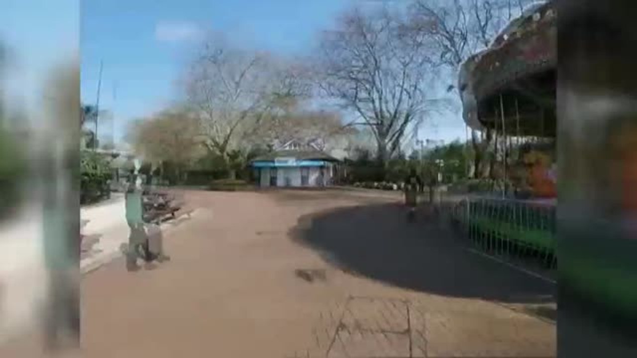 Las nuevas rutinas en el zoo de Londres