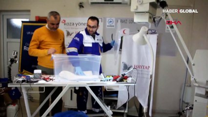 Anneleri ölen yavru kedilere özel yapım kuvözde tedavi