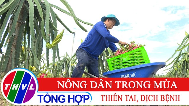 Nông nghiệp bền vững: Nông dân trong mùa thiên tai, dịch bệnh