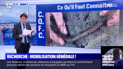 Recherche: mobilisation générale ! - 06/04