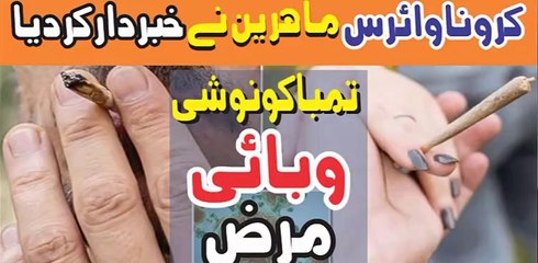 Smokers Appear To Be At Higher Risk From Coronavirus COVID-19 | Expert