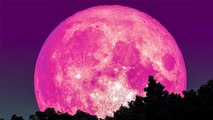 Super Pink Moon : Earth होगा Moon के नजदीक, Pink Moon का होगा दीदार । Boldsky