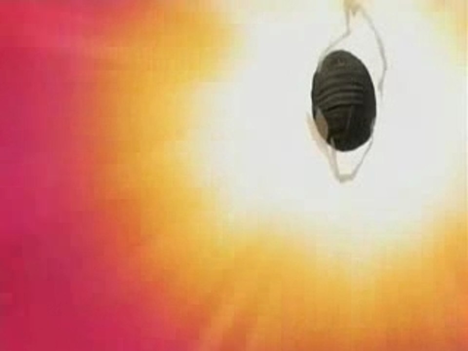 La loi d'Ueki 33 VOSTF