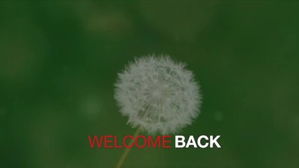 Royal Enfield on  Off road bike