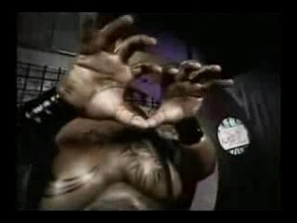 WWE - Big Daddy V Promo