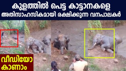 Viral video of rescuing elephants | Oneindia Maayalam