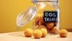 How to Make Your Own Peanut Butter Dog Treats at Home