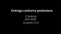 Rescatado de un contenedor un cachorro de perro que había sido abandonado