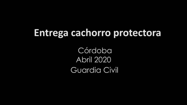 Rescatado de un contenedor un cachorro de perro que había sido abandonado