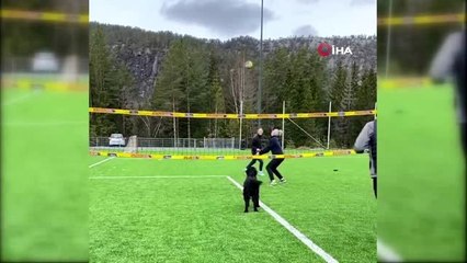 Norveçli voleybolcunun köpeğiyle antrenmanı hayran bıraktı