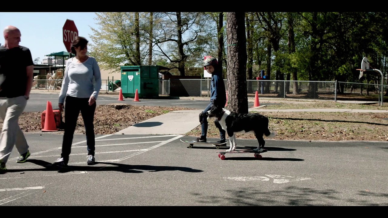 Paws P.I. - Trailer
