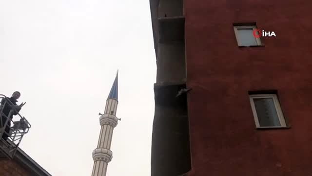 Ağrı'da tele takılan güvercin itfaiye ekipleri tarafından kurtarıldı