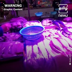 China Reopens Wet Markets Despite Ongoing Coronavirus Pandemic