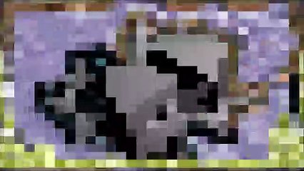 jack rabbit ´hardstyle project 01´