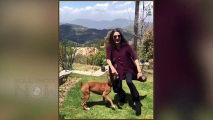 Bollywood STARS And Their Funny Weird Behavior During Lockdown Anushka, Rakhi Sawant, Vicky, Neena