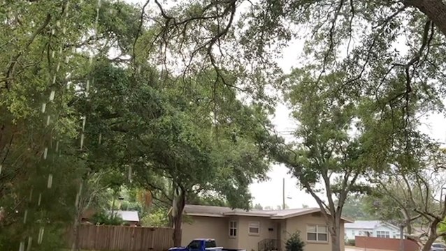 Rain soaks the Tampa Bay area
