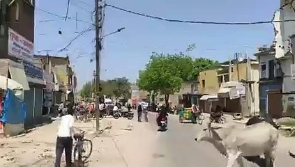 शहर के बाकरगंज बैंक में सोसल डिस्टेंस की उड़ाई जा रही धज्जियां