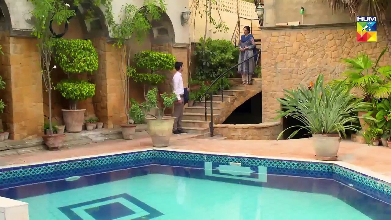 Wafa Kar Chalay Episode 29 HUM TV Drama 3 February 2020