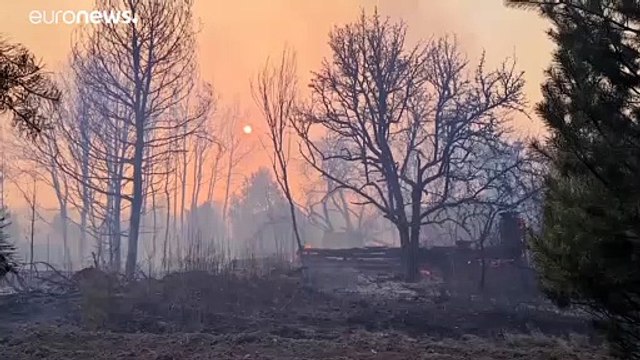 В Чернобыльской зоне бушует пожар